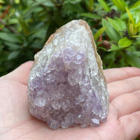 Uruguayan Amethyst Cluster, Grade B Amethyst Geode with Cut Base, Pick a Size