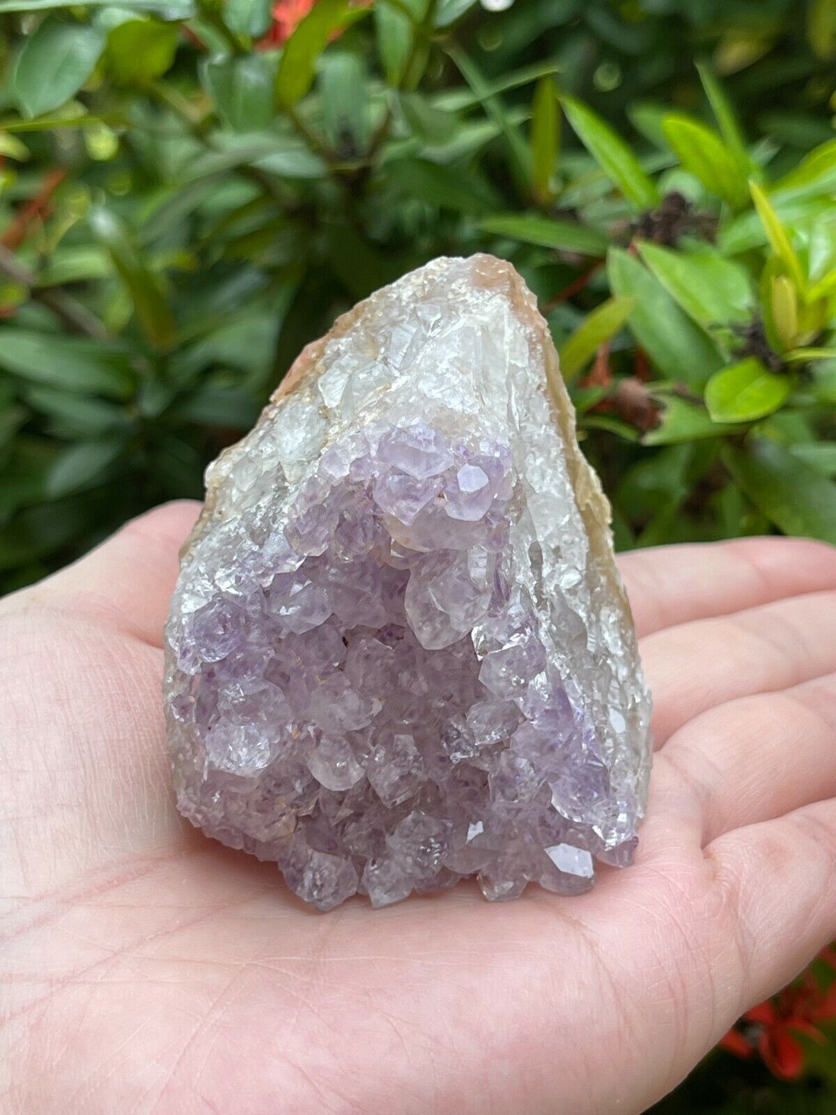 Uruguayan Amethyst Cluster, Grade B Amethyst Geode with Cut Base, Pick a Size
