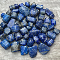 Grade A++ Lapis Lazuli Tumbled Stone, 0.65-1.5 Inch Lapis Crystal,Wholesale Bulk