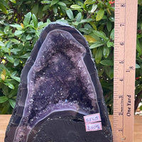 X-Large Amethyst Cathedral, Amethyst Geode,Raw Amethyst Cluster, Pick a Weight