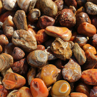 Bahia Agate - Large Rough Rocks for Tumbling - 2" - 3" - 1LB Bulk Wholesale