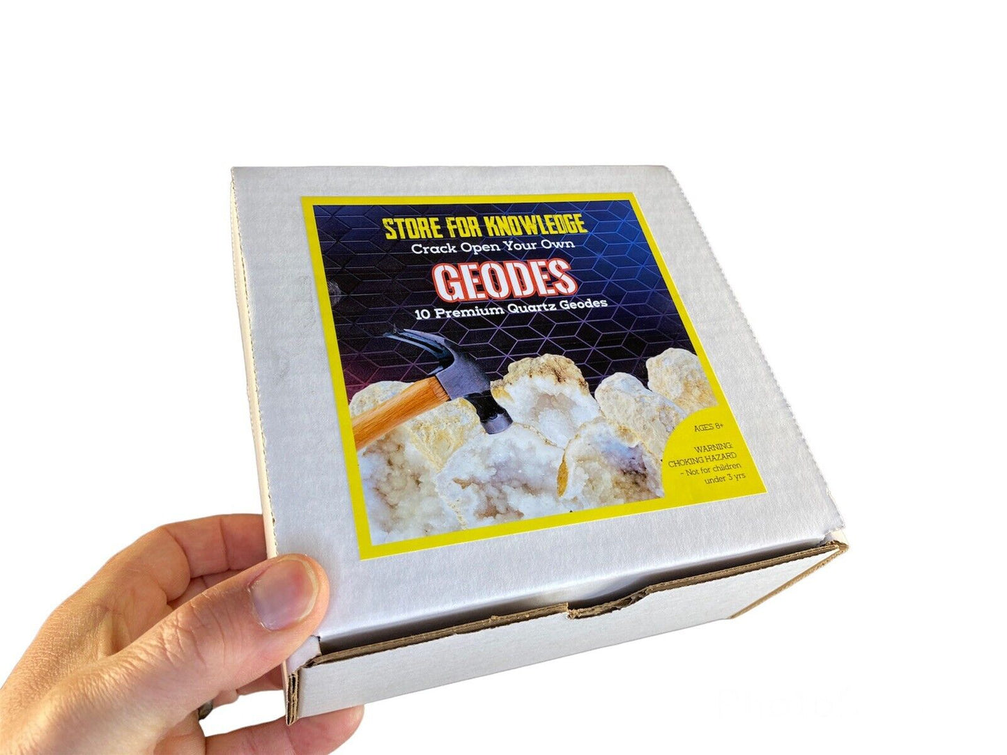 10 Break Crack Open Your Own Whole indian Geodes W/Gift Box - 2" Crystal Druzy