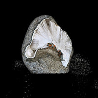 Scolecite Geode 68g Healing Crystal Crown Chakra Reiki Meditation Stone