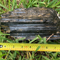 Extra Large Black Tourmaline Chunk / Rod / Log, Natural Rough Black Tourmaline