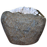 115g Scolecite Geode Natural Radiating Crystal Mineral India