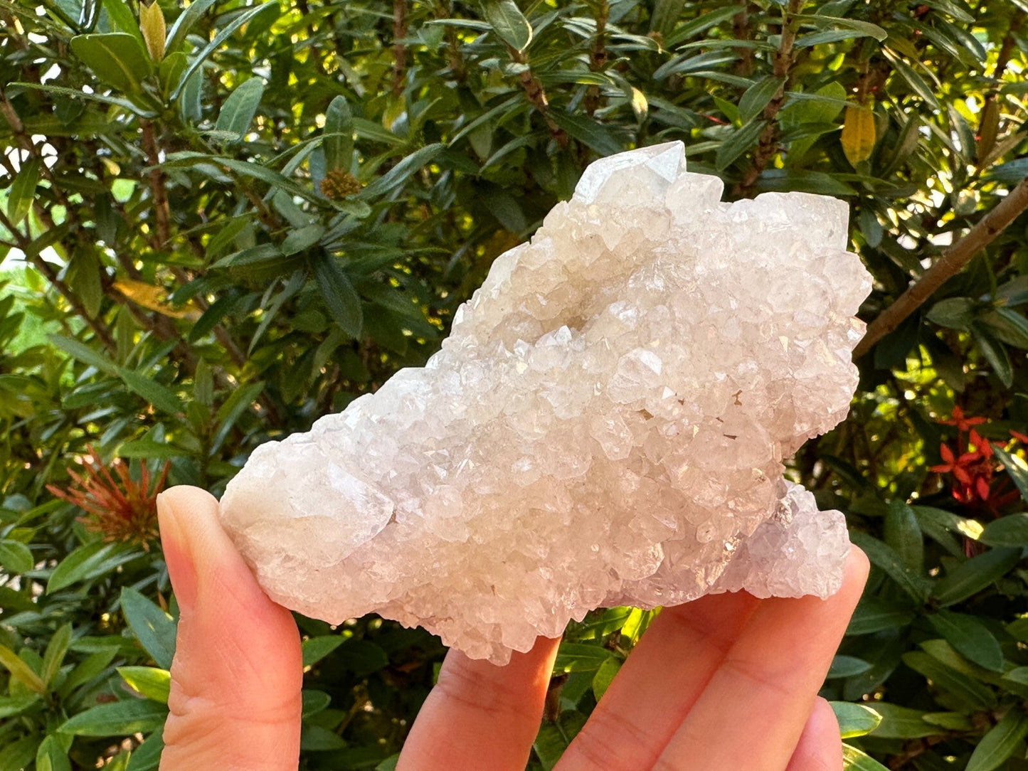 Grade A++Spirit Quartz Clusters,Natural Spirit Quartz Crystals, Porcupine Quartz