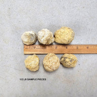 Break Your Own Geodes Unbroken Quartz Crystal Geode with Sparkly Crystals Inside