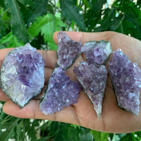 Raw Amethyst Cluster Druzy Collection Box: 6 - 8 oz Box Lot, Natural Amethyst