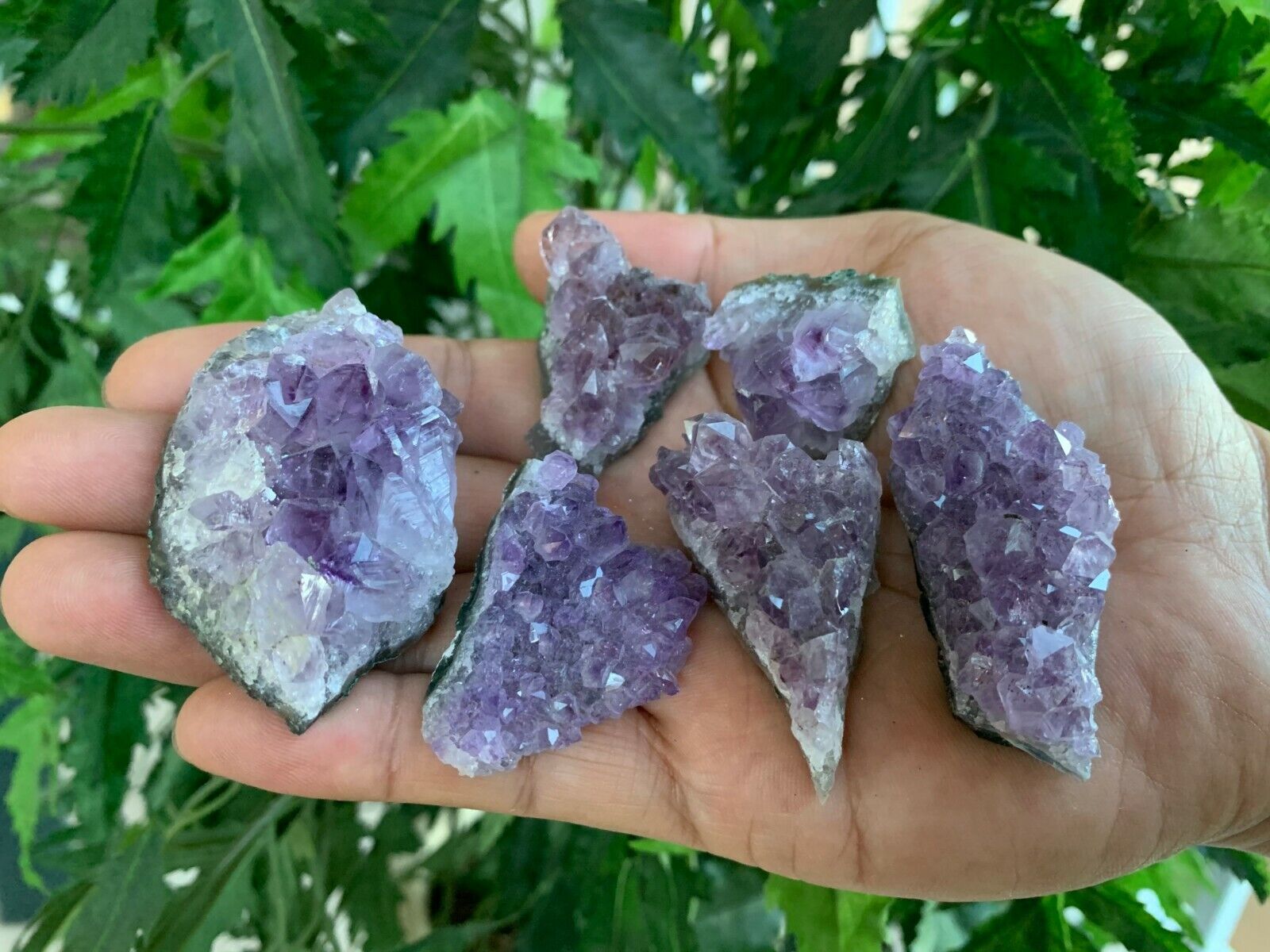 Raw Amethyst Cluster Druzy Collection Box: 6 - 8 oz Box Lot, Natural Amethyst