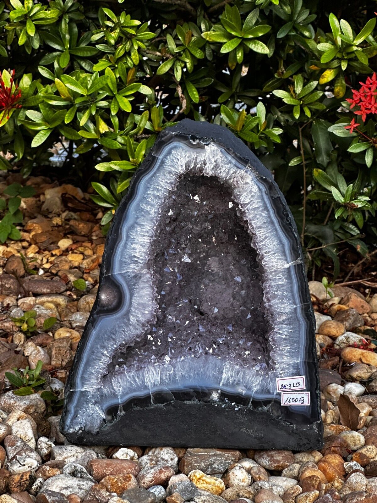 X-Large Light Purple/Gray Amethyst Cathedral, Raw Amethyst Geode, Pick a Weight