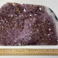 Finely Polished Uruguay Deep Purple Amethyst Cluster Crystal Geode, Pick a Size