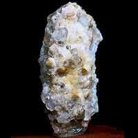 Smoky Quartz Crystal with Golden Rutile 322g Energy Clearing Healing Stone