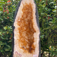 X-Large Citrine Cathedral, Citrine Geode, Honey Citrine Cluster, Pick a Weight