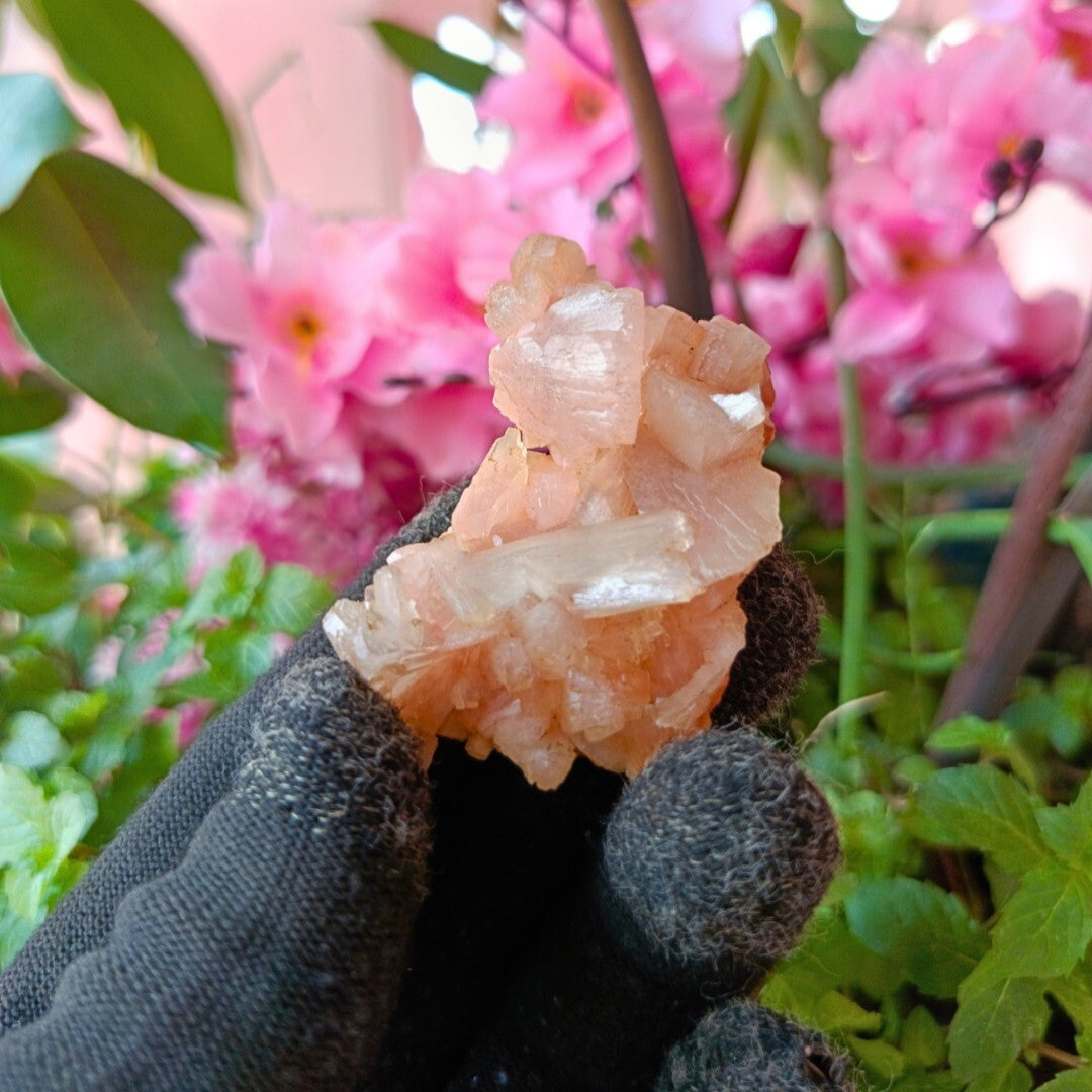 Small Top Grade Orange Stilbite with Heulandite Crystal Specimen 120g India