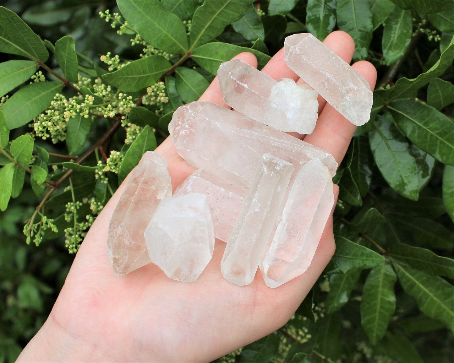 Wholesale CLEARANCE Bulk Lot 1/4 lb (4 oz) Rough Natural Quartz Crystal Points