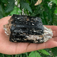 Extra Large Black Tourmaline Chunk / Rod / Log, Natural Rough Black Tourmaline