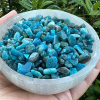 Grade A++ Apatite Semi Tumbled Gemstone Mini Chips 4 - 8 mm, Wholesale Bulk Lot