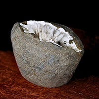 115g Scolecite Geode Natural Radiating Crystal Mineral India