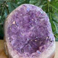 Finely Polished Uruguay Amethyst Cluster Crystal Geode, Pick a Size: 0.5 to 4 Lb