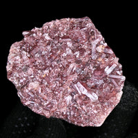 Phantom Clear Quartz Cluster 100g Natural Crystal Specimen from India